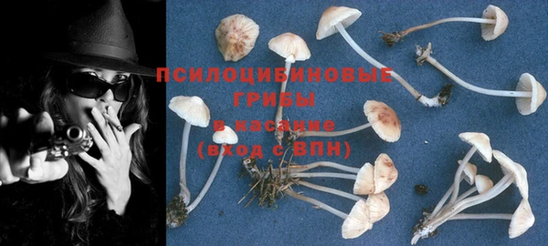 винт Баксан